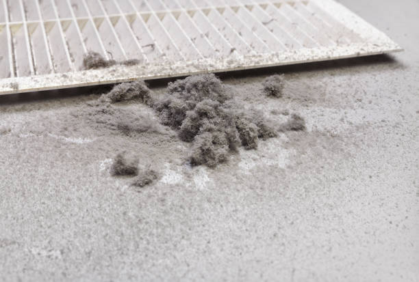 Best Air Duct Cleaning Company Near Me  in West Union, IA